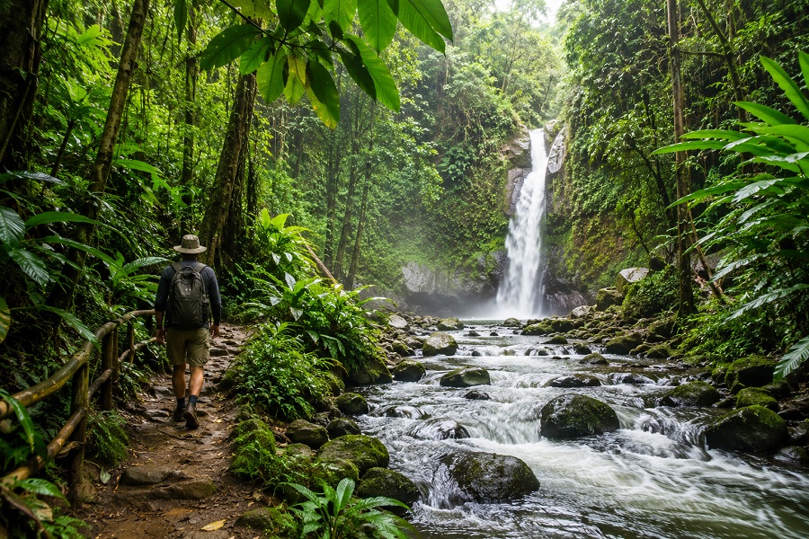 Tropical Rainforest Tourism